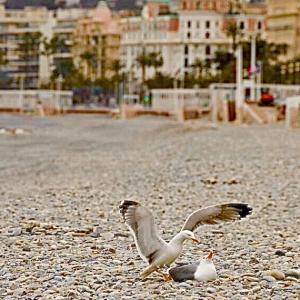 beach